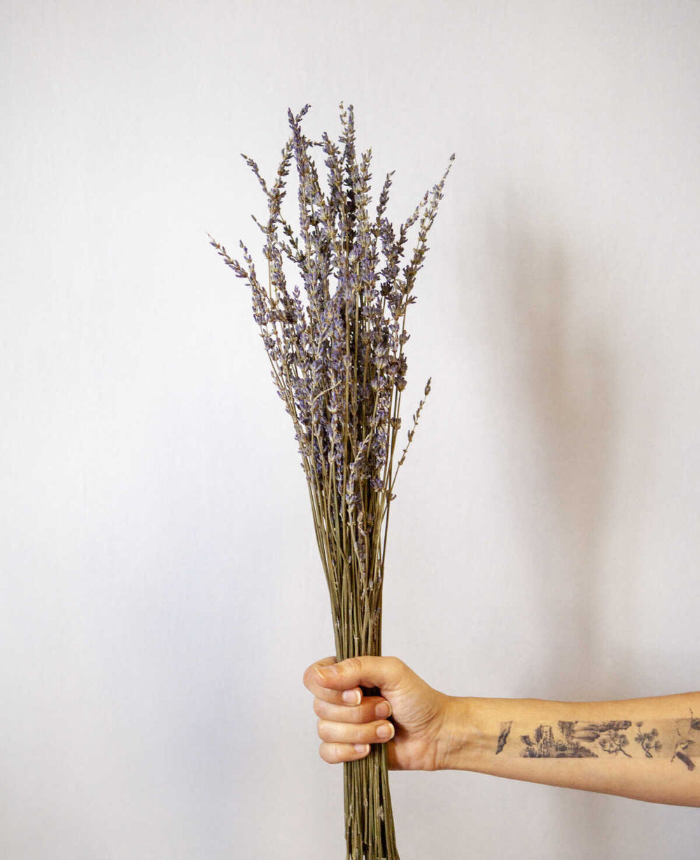 זר לבנדר מיובש (B2B)