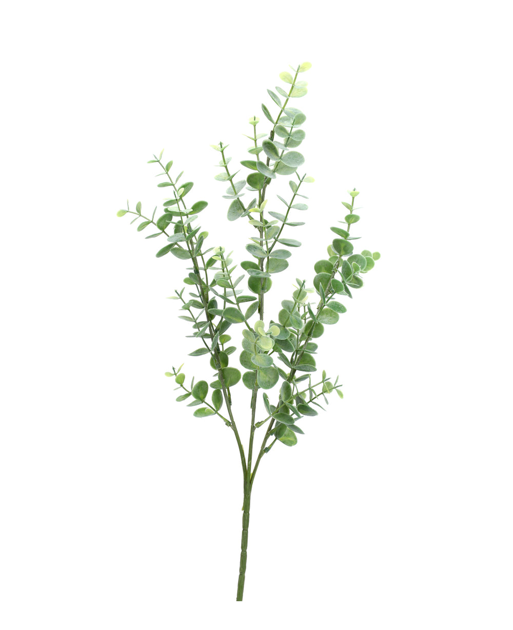 ענף מלאכותי הדס