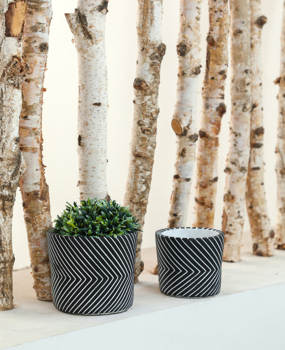 עציץ בטון וי שחור (B2B)