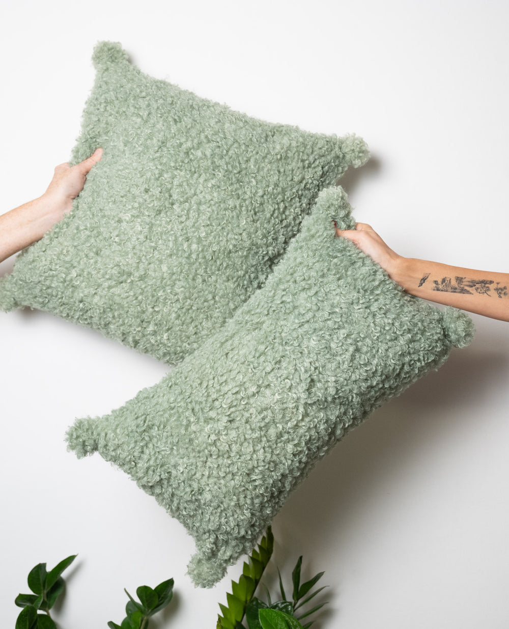 כרית אסיה גרין