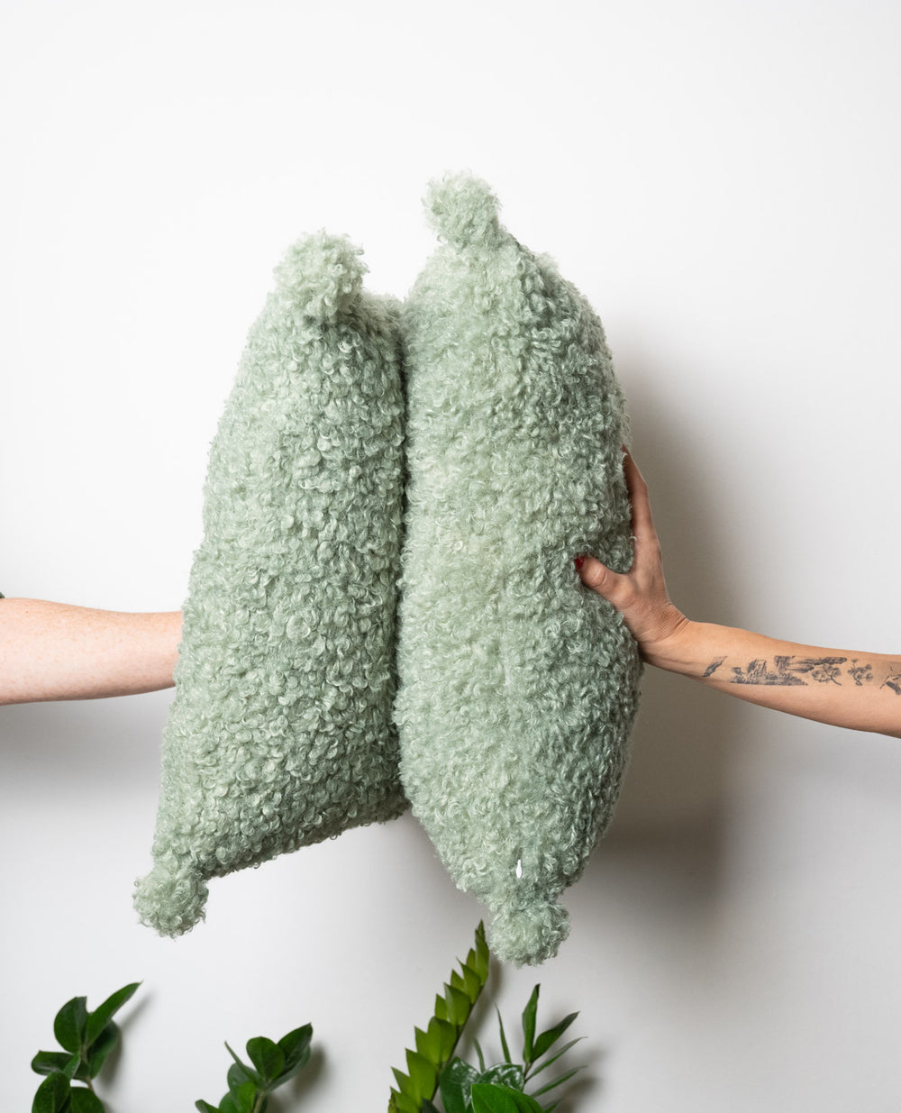 כרית אסיה גרין