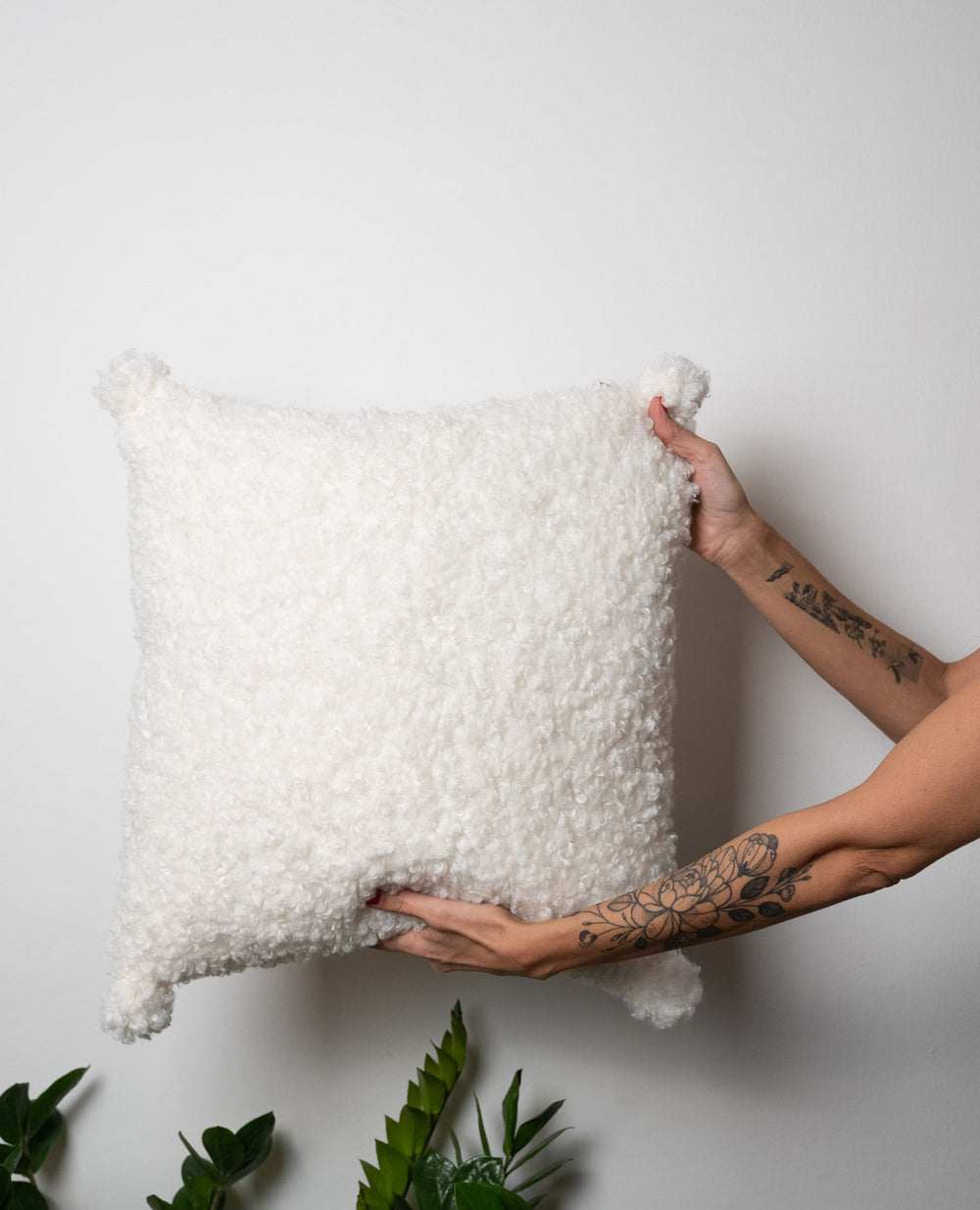 כרית אסיה וויט