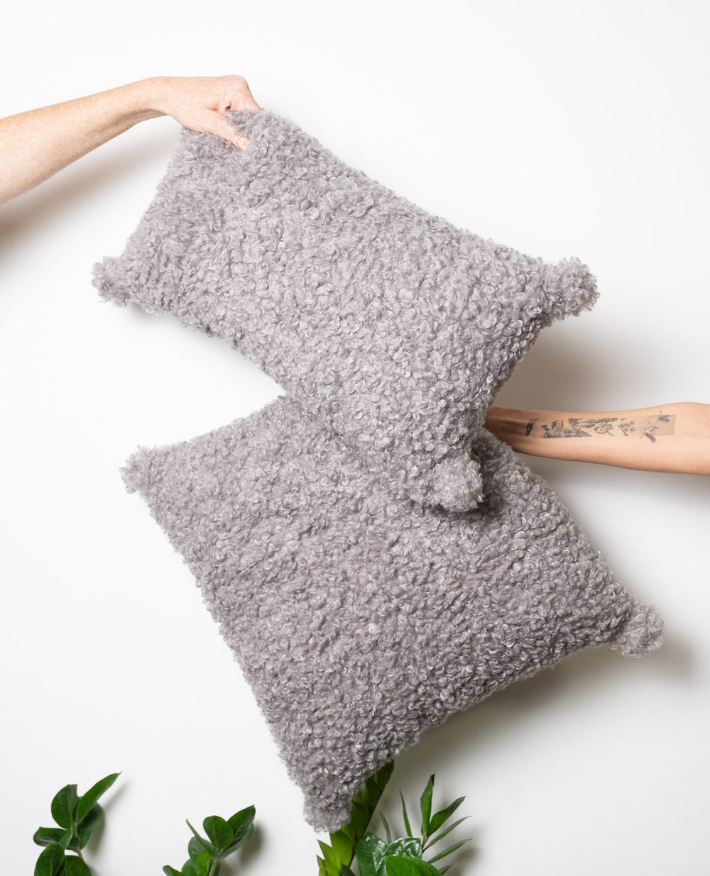 כרית אסיה גריי