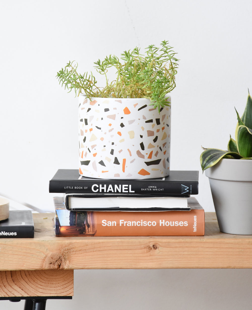 כלי לעציץ טרצו (B2B)