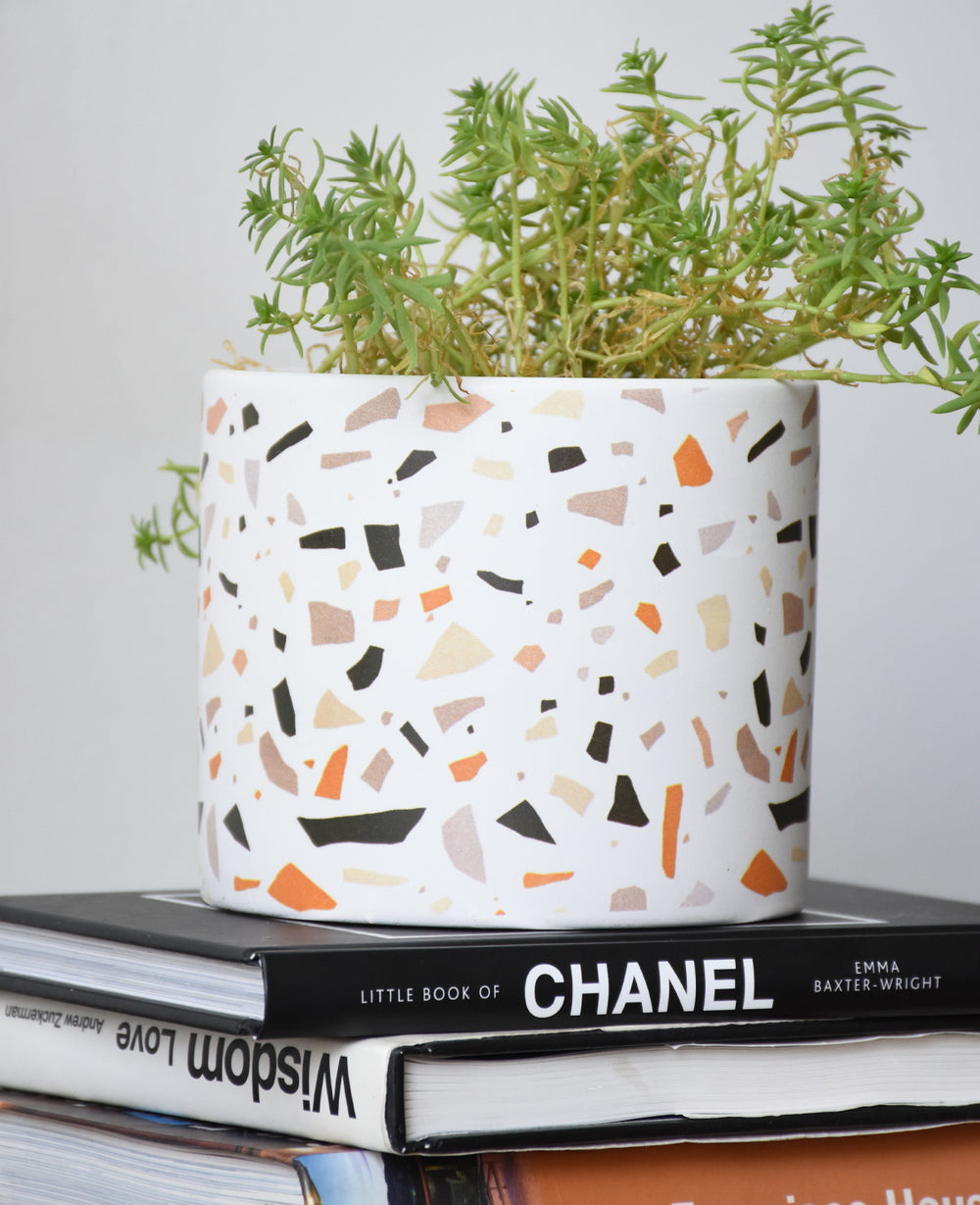 כלי לעציץ טרצו (B2B)