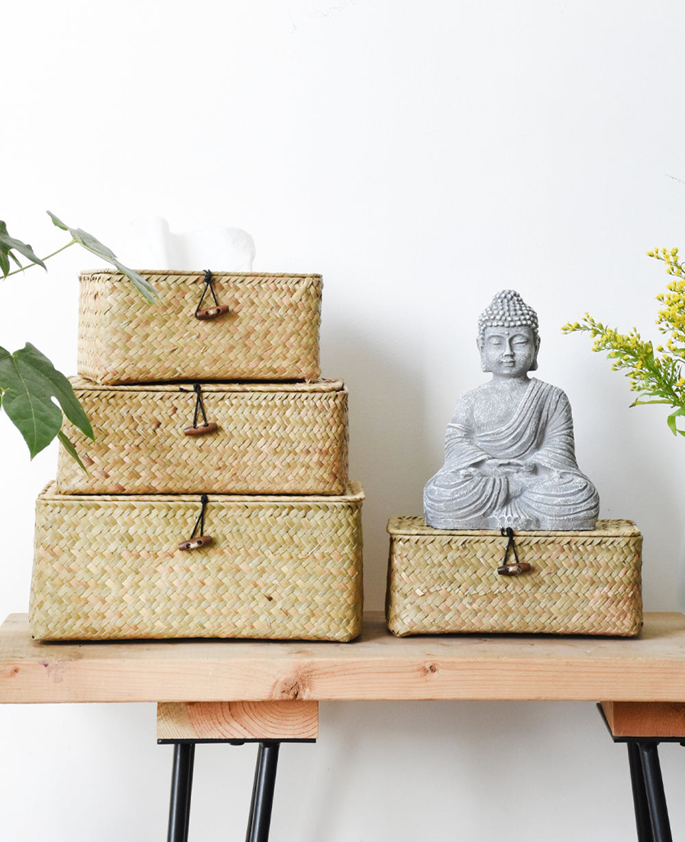 קופסת קש לטישו (B2B)