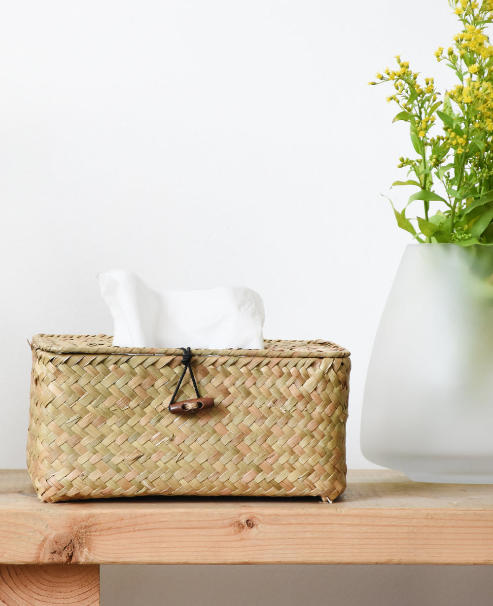 קופסת קש לטישו (B2B)