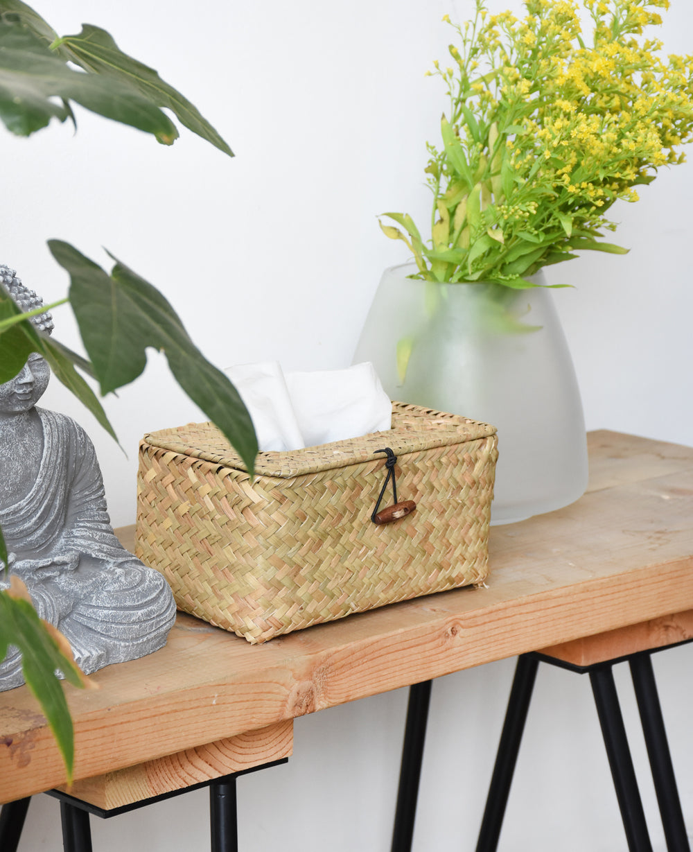 קופסת קש לטישו (B2B)