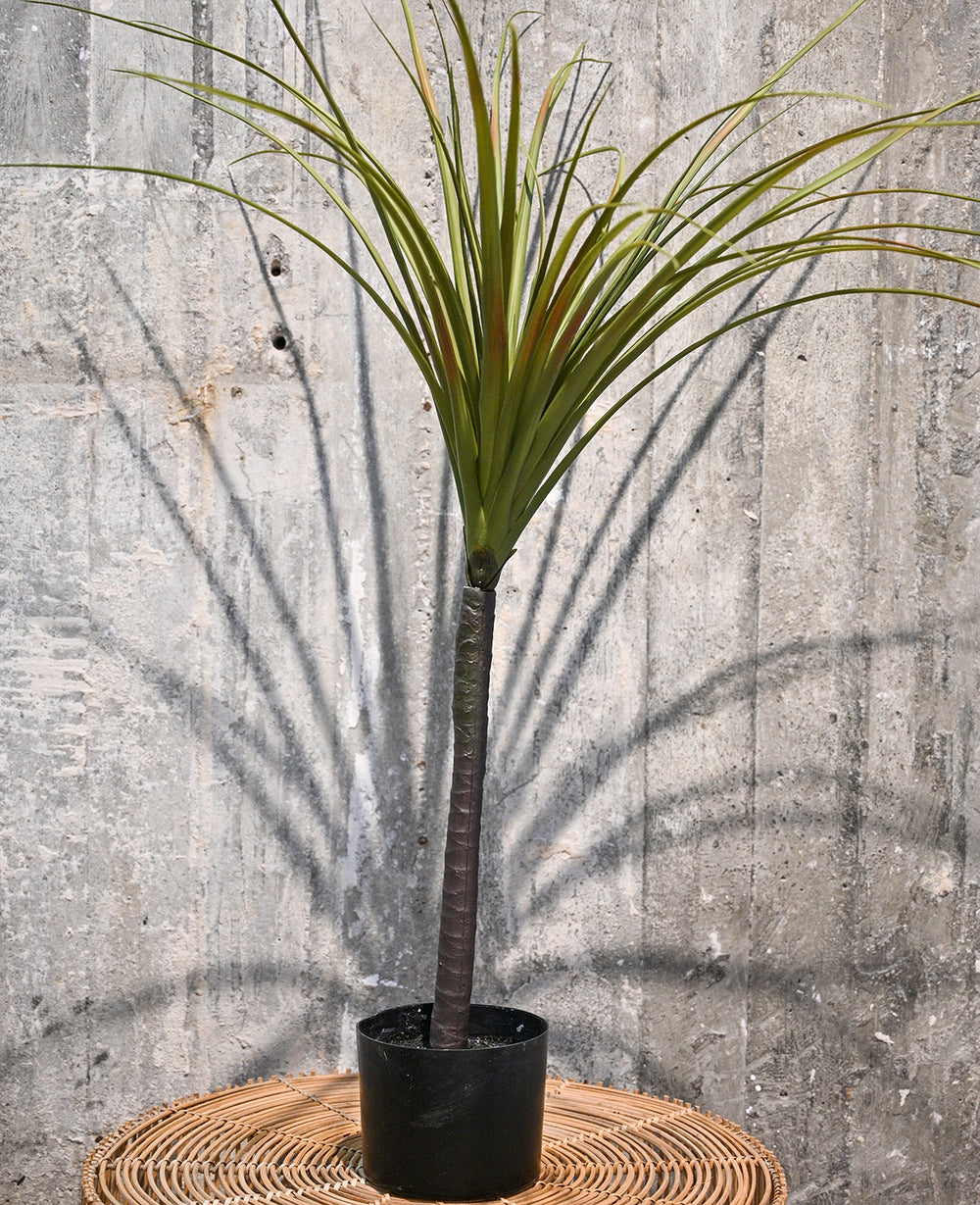 עציץ דרקון מלאכותי