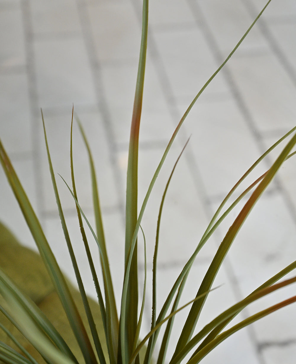 עציץ דרקון מלאכותי