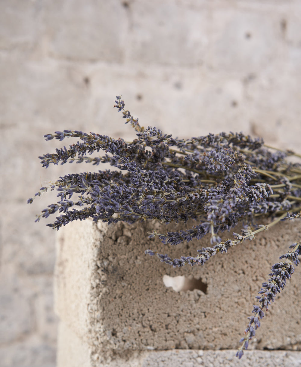 זר לבנדר מיובש (B2B)