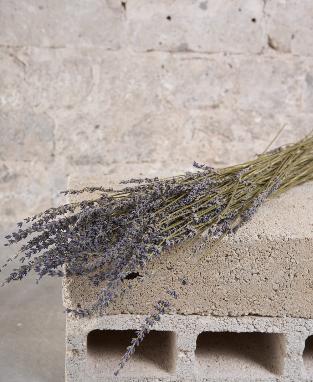 זר לבנדר מיובש (B2B)