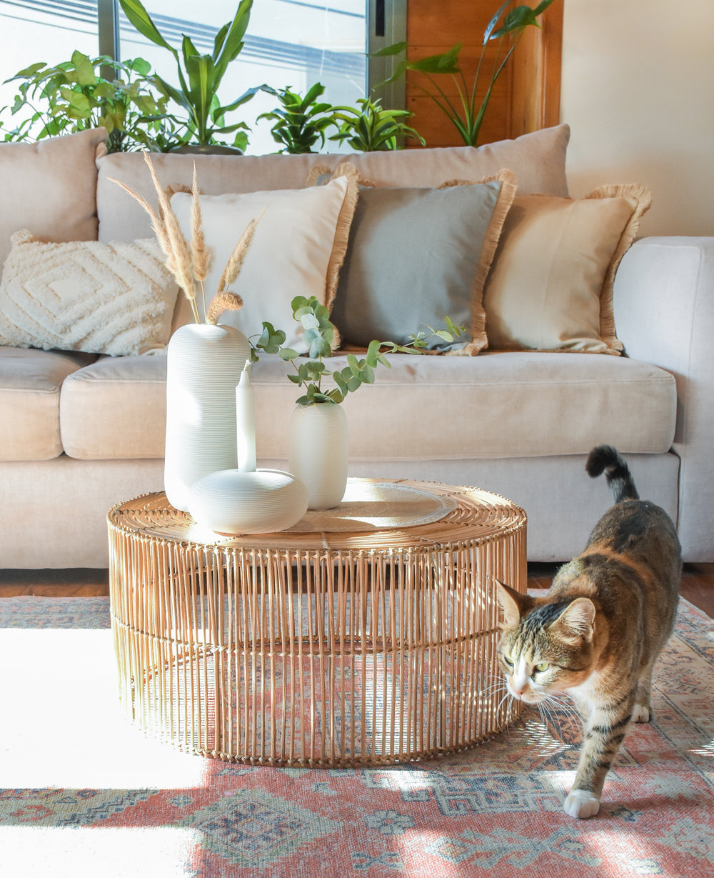 כרית פרנזים יוטה (B2B)