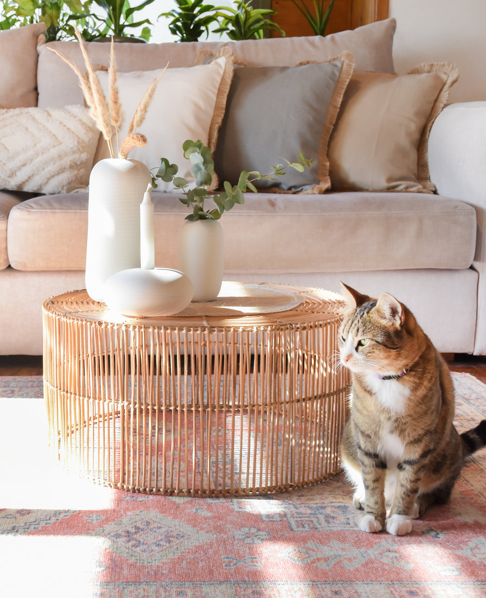 אגרטל וויט (B2B)