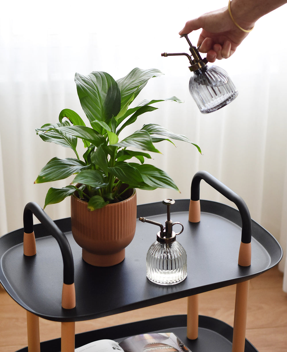 כלי לעציץ סטרייפ