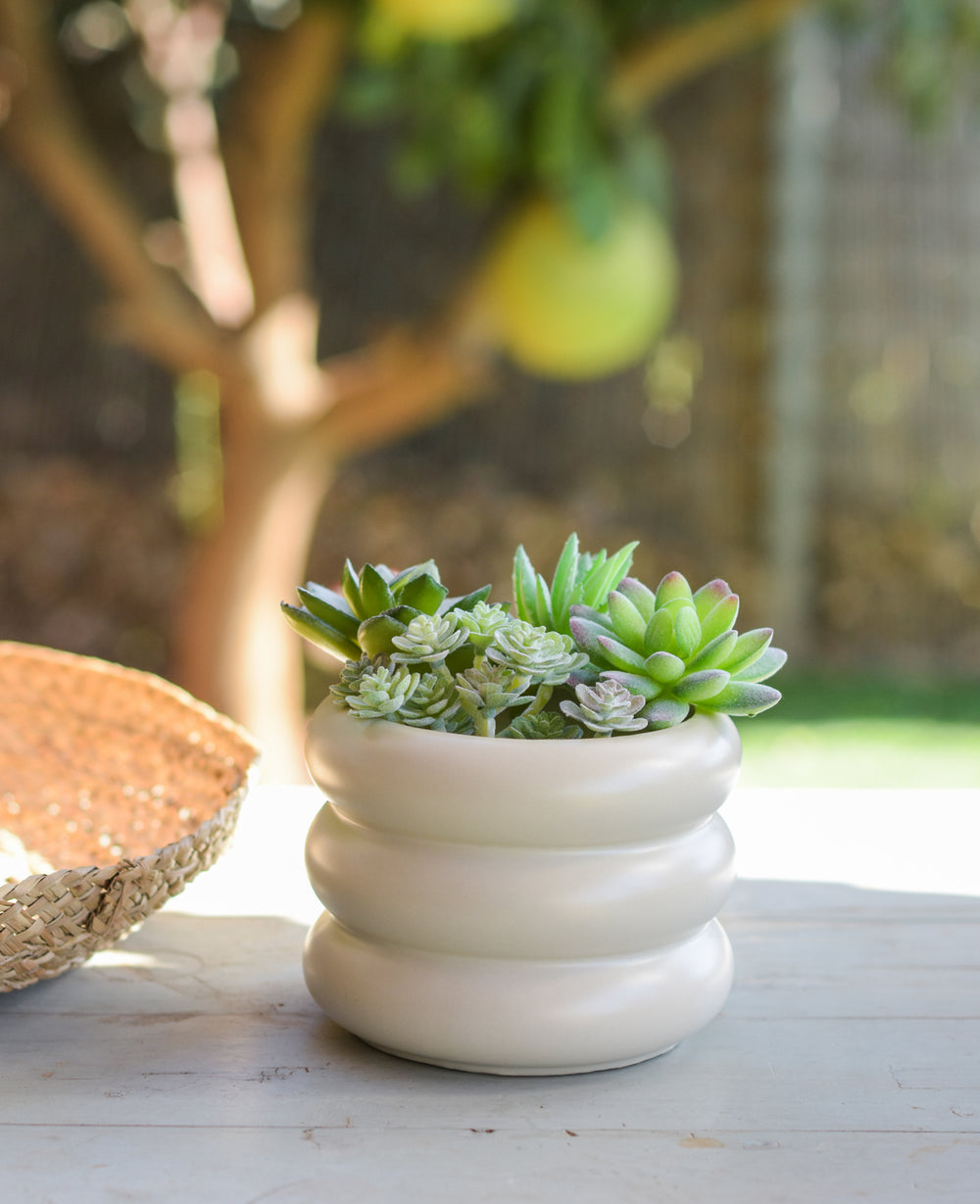 עציץ קרמיקה דונה