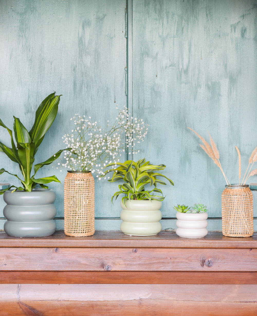 עציץ קרמיקה דונה