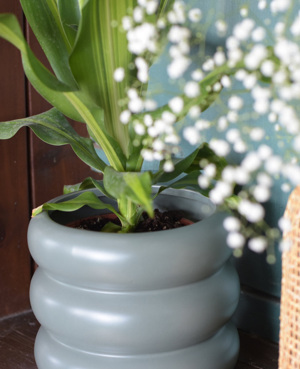 עציץ קרמיקה דונה