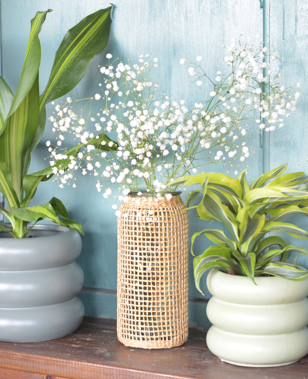 אגרטל זכוכית פאלם (B2B)